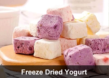 Freeze Dried Yogurt