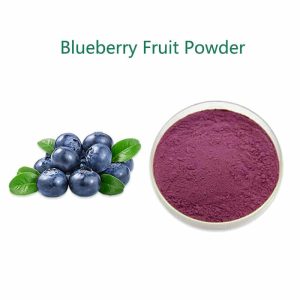 Household High Quality Customized Freeze Dried Blueberry Cube OEM Accept Source factory Explosive Models