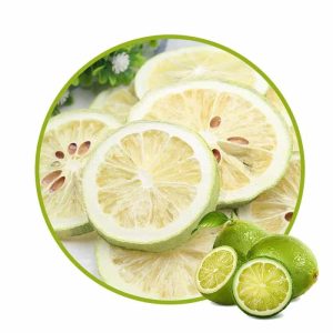 Fast Delivery wholesale Products Freeze-dried Lemon slice flavorous delish New Design Freeze-dried Lemon slice